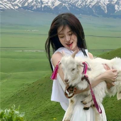51区：中情局的机密文件